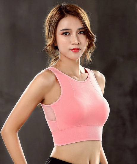 979cf55f64a110ccebd63671be6cc224