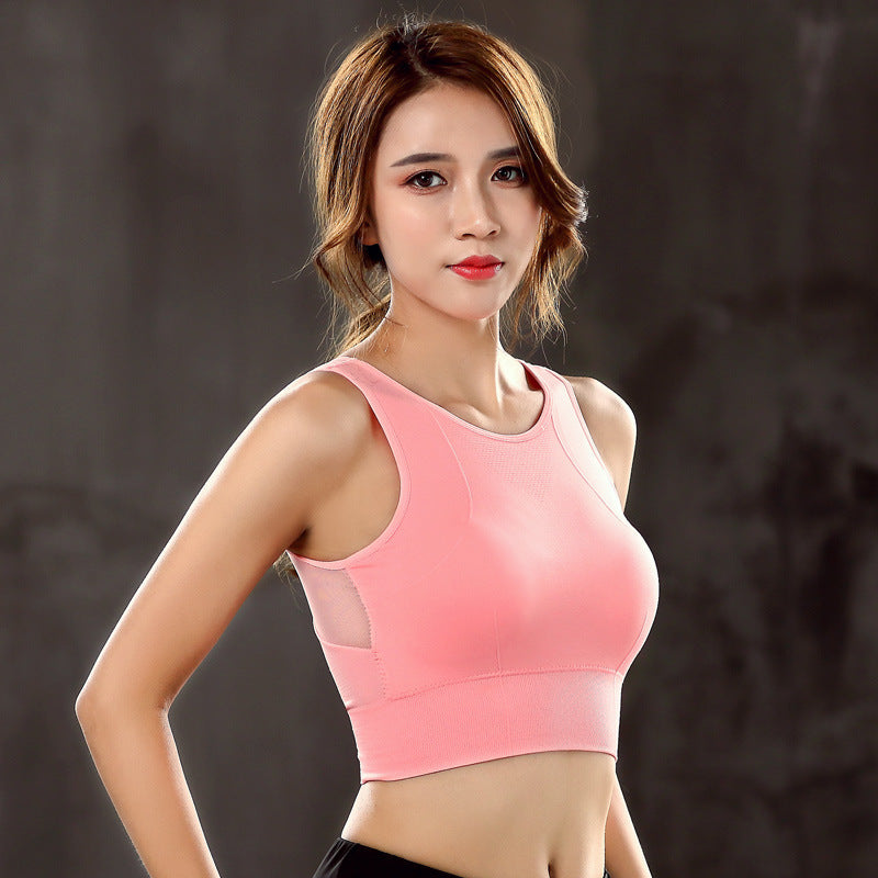 979cf55f64a110ccebd63671be6cc224